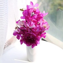 [Phong lan Thái] Côn Minh căn cứ bó hoa bán buôn nhà trang trí cắm hoa cắt hoa cưới trực tiếp Hoa và hoa