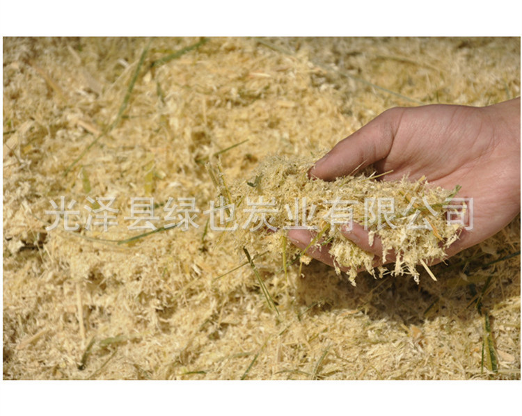 长方形白底800_19