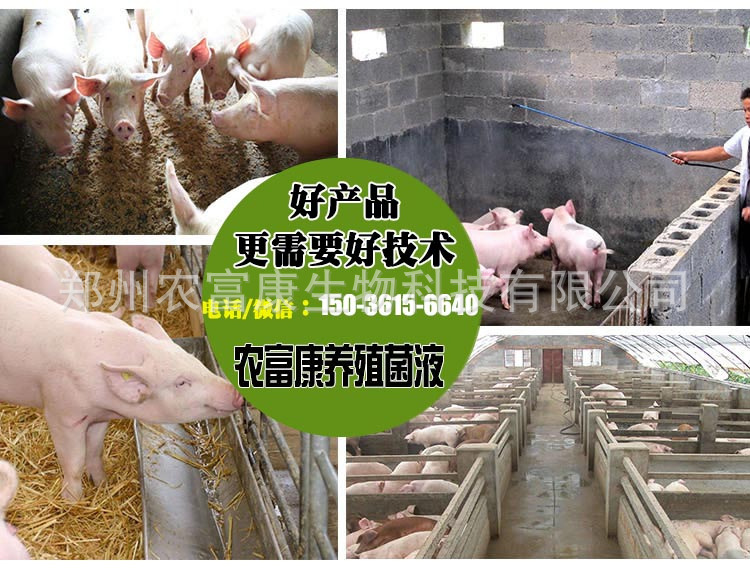 猪儿健订购电话