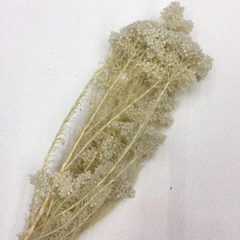 微信图片_20180126225632_副本