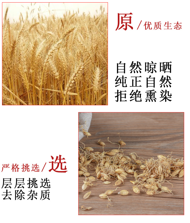 Mai Ya (Hordeum vulgare) — Dried Sprouted Barley for Tea & Soup, Food-Herb key features