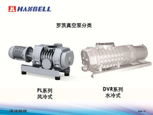 台湾汉钟真空泵Hanbell 罗茨真空泵 福建厦门螺杆真空泵PL  DVR