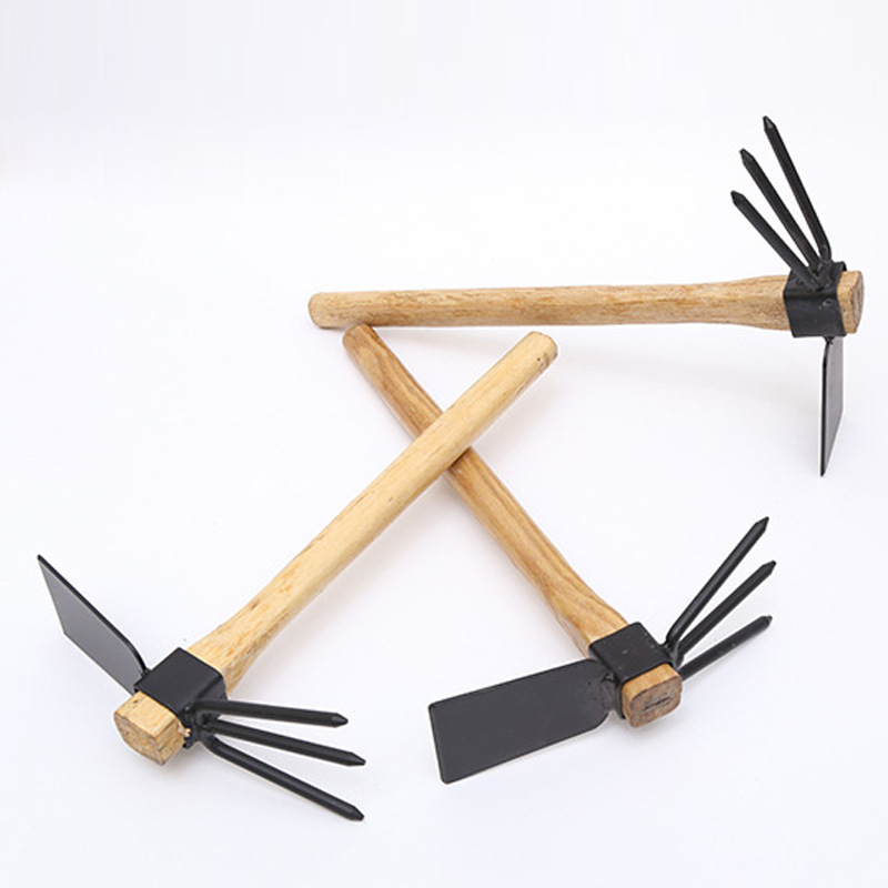 3759245653_1578675911