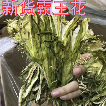 批发广东特产霸王花 剑花 绿色霸王花干生晒青花滋补煲汤料