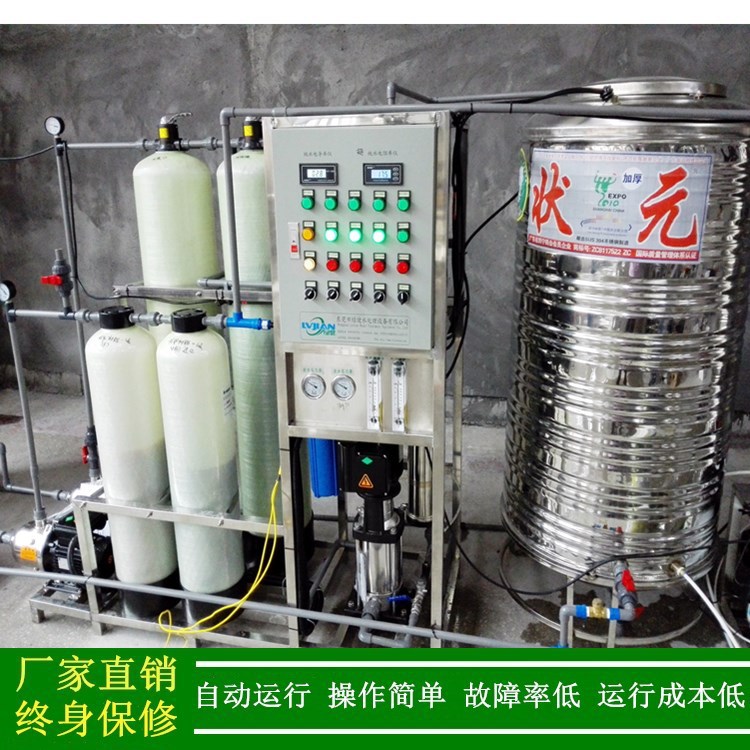 【厂价直销】电瓶加水超纯水机 0.25t反渗透超纯水设备