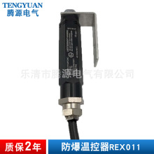 防爆温度控制器REx011 15/25℃矿区安全防爆温控器