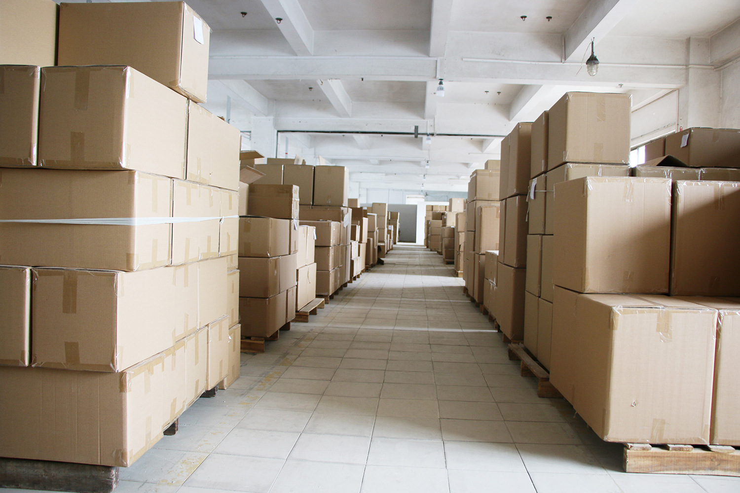 8320809415_1451557044