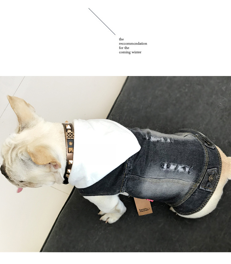Pet Vest