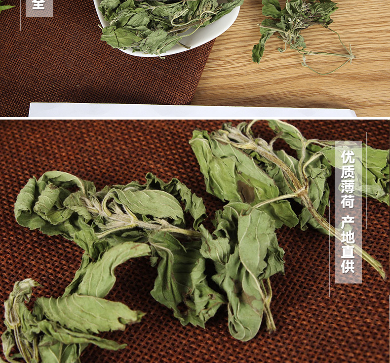 Mint Leaves (Mentha haplocalyx) — Dried Food-Herb for Cooling Herbal Teas & Blends quality and texture