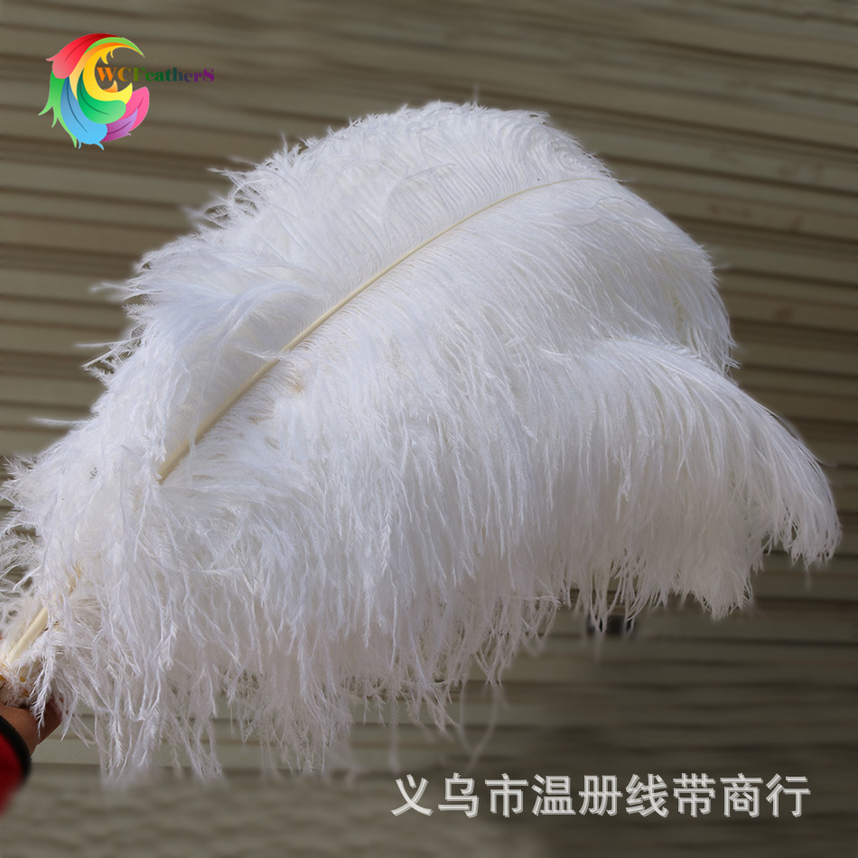 温册羽毛厂家定制原支小鸵鸟毛布边服装裙摆装饰小羽毛100码起详情图19
