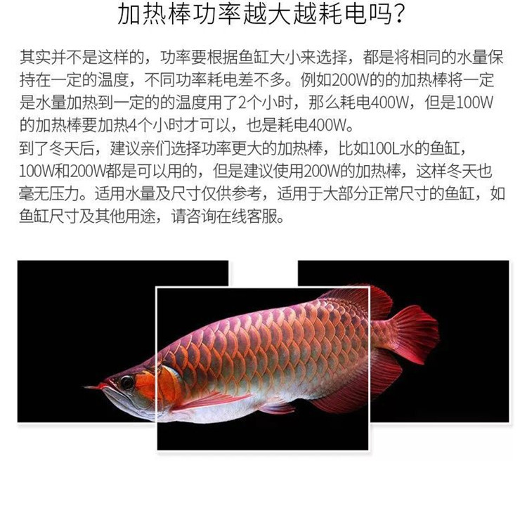 鱼缸用品_鱼缸自动恒温加温棒水族箱加热器鱼缸用品离水断电