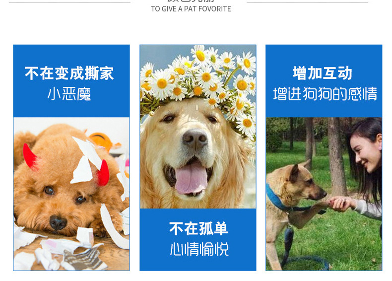 TPR三色刺圈玩具_15.jpg