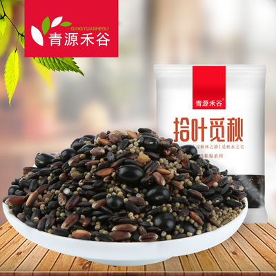 黑五谷粥 150g/袋五谷杂粮粥 小包装 粗粮七日粥 OEM贴牌代加工