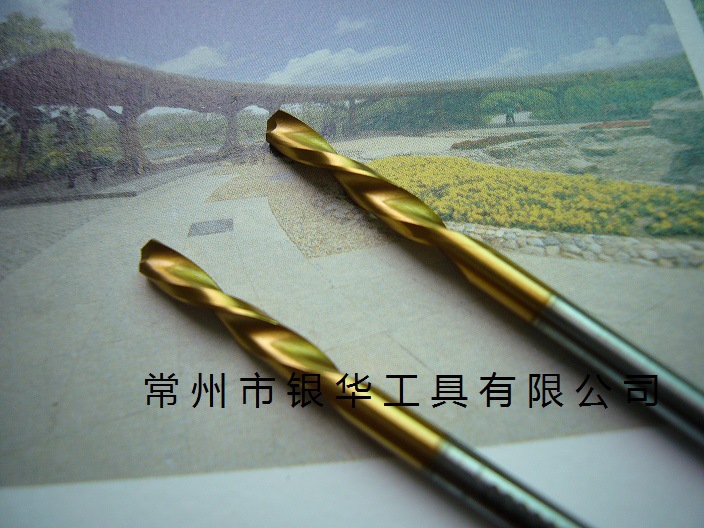 P1010890