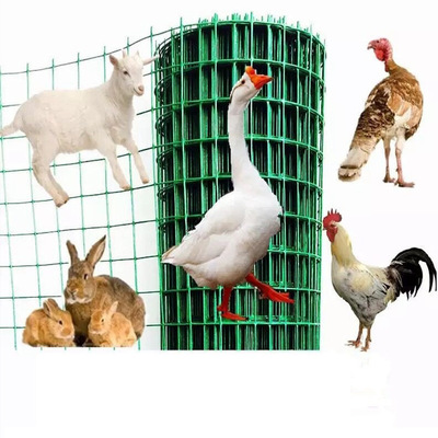 硬塑鐵絲網圍欄網果園養殖網隔離魚塘防護網圈地網荷蘭網