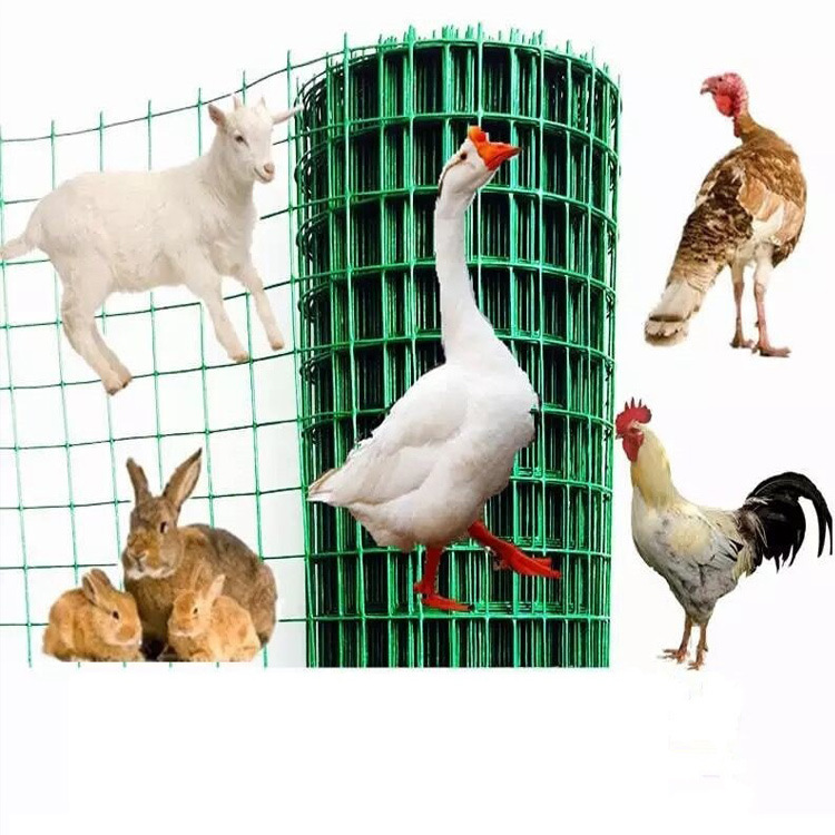 硬塑鐵絲網圍欄網果園養殖網隔離魚塘防護網圈地網荷蘭網