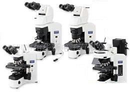 日本奥林巴斯显微镜 生物显微镜BX41/BX45荧光系统
