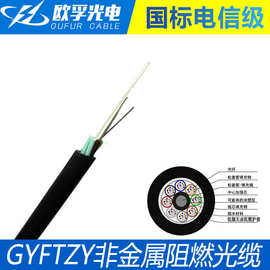 GYFTZY光缆 gyftzy-8b非金属阻燃室外直埋穿管电力导引光缆