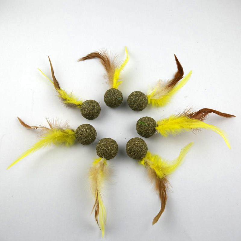 微信图片_20180607175833_副本