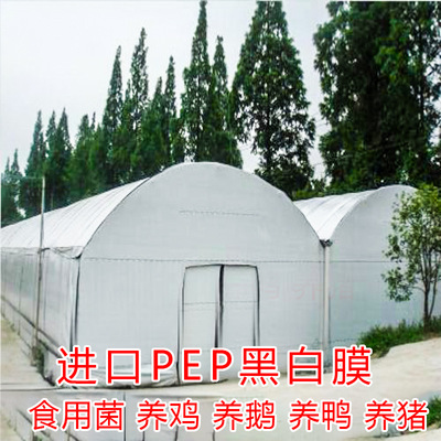 地膜農用白膜黑膜塑料薄膜黑地膜黑色地膜果樹專用地膜白色保溫膜