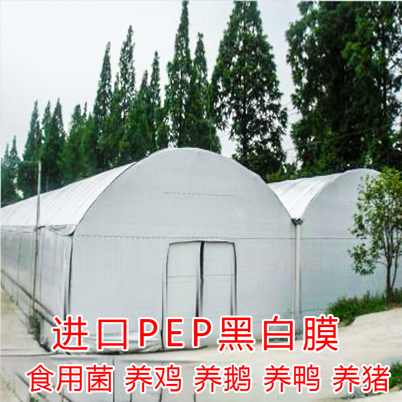 地膜農用白膜黑膜塑料薄膜黑地膜黑色地膜果樹專用地膜白色保溫膜