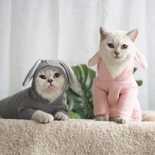 Thỏ con mèo quần áo mèo quần áo con chó cưng nạp Anh ngắn bạc thay mặt dốc mùa đông mới quần áo Garfield Trang phục mèo