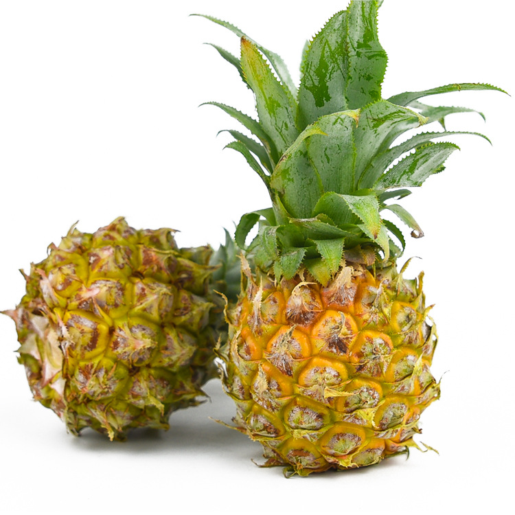 Mini Perfume pineapple Thailand Breed Season fresh fruit Phuket Pineapple Send knife On behalf of