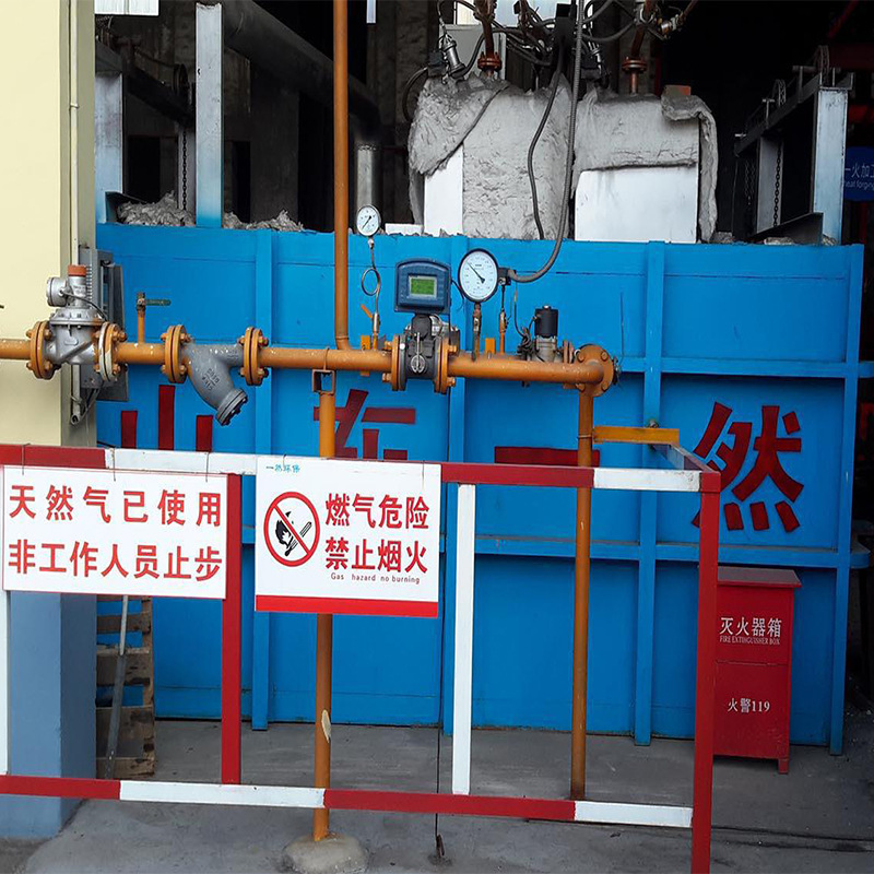 一然膜壳焙烧炉 焙烧质量高 品种多样 规格齐全 单位吨耗低