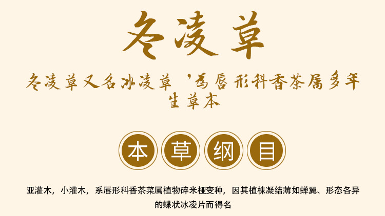 Dong Ling Cao (Rabdosia rubescens) — Dried Chinese Herbal Material, Ice Ling Grass 500g overview