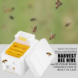 养蜂工具 泡沫蜂箱 蜜蜂交尾箱 蜜蜂育王箱 授粉箱套装