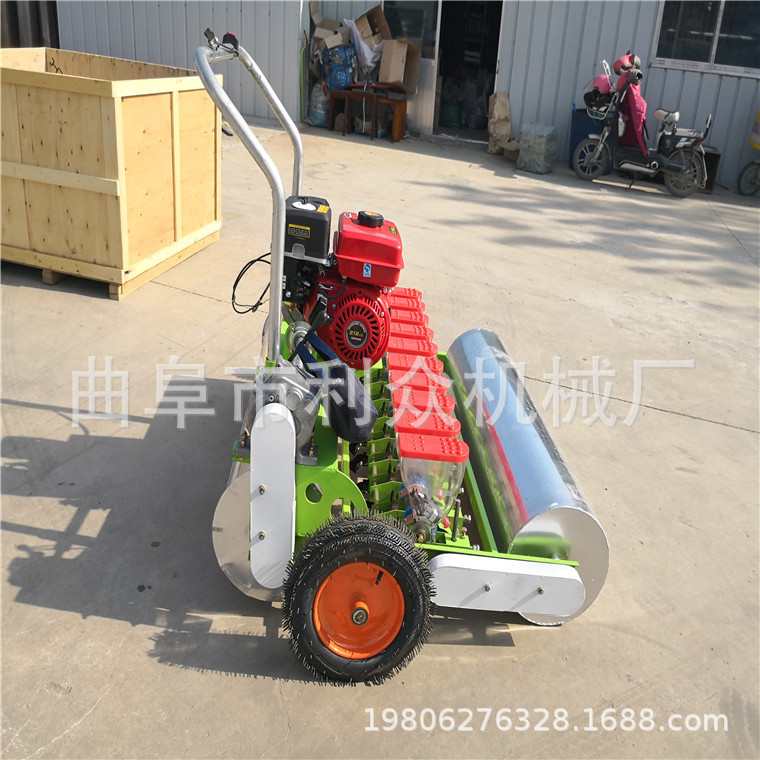 郊区多行菜籽育苗机 多行菜心播种机