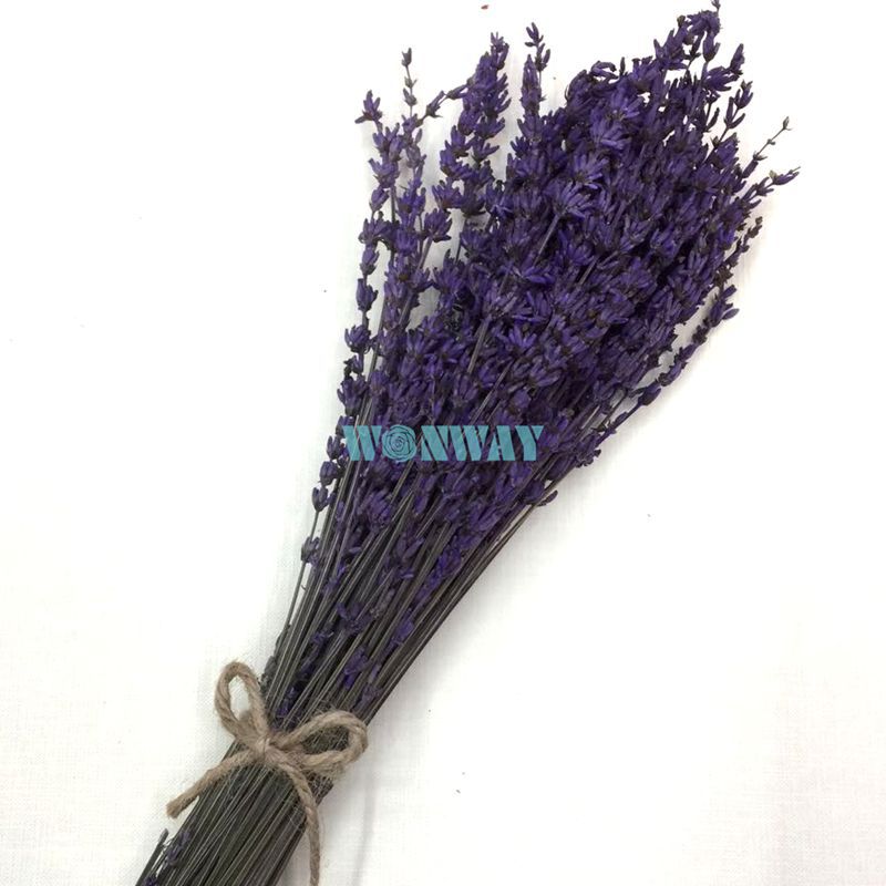 微信图片_20180428101840