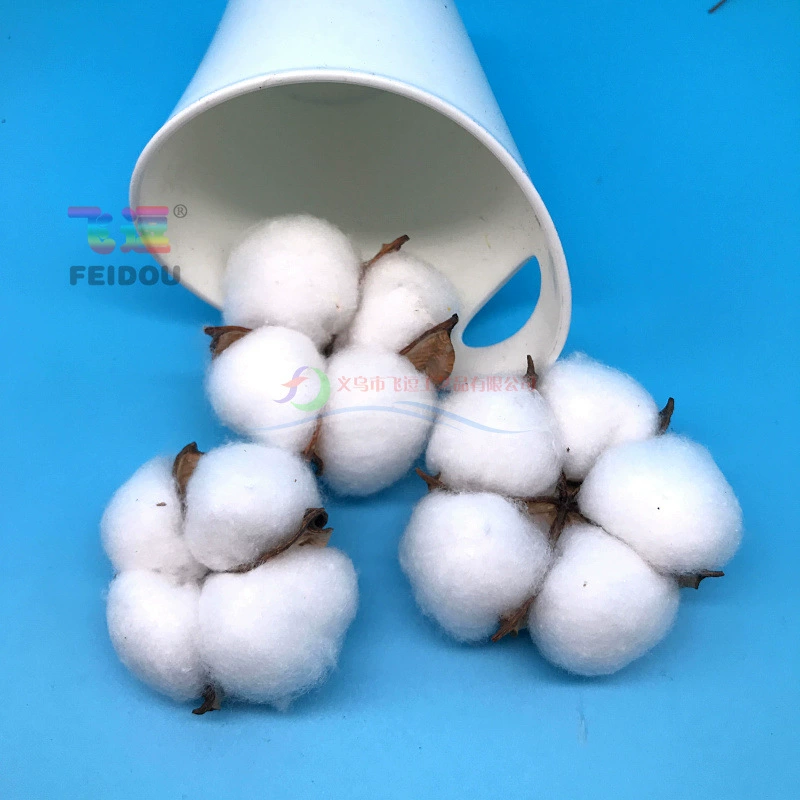 Хлопчатобумажная голова, сушеные хлопковые цветы, украшение подарочной коробки с цветами, белый хлопок, без стержня и без железа, упакованная цветочная композиция.