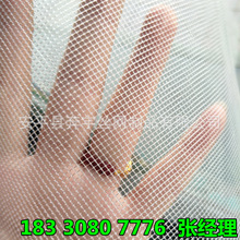 现货批发 菱形孔 小眼方孔塑料网 白色滤芯塑料网 规格齐全
