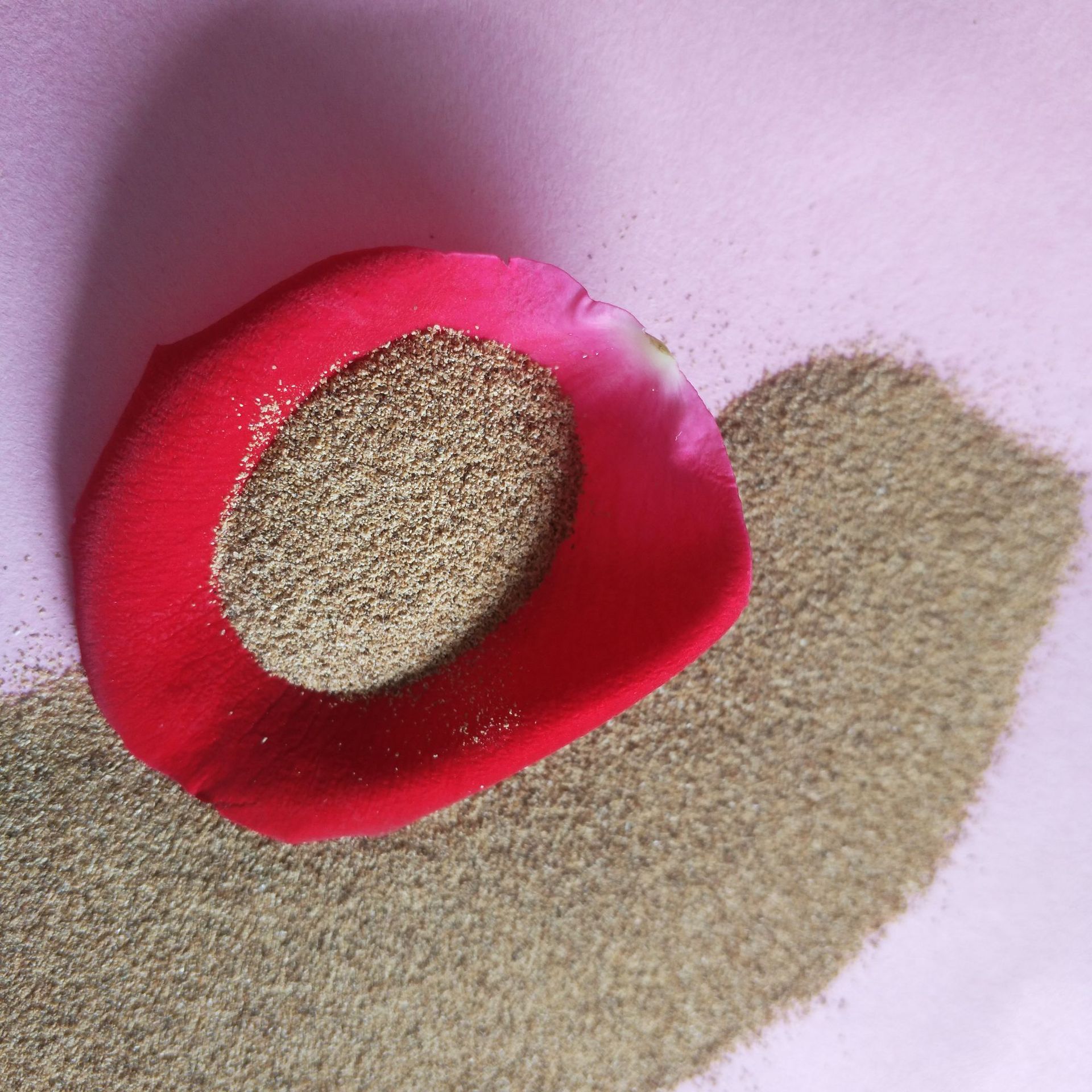 限时促销天然磨砂核桃粒子细颗粒80目 清洁面膜用核桃粒子