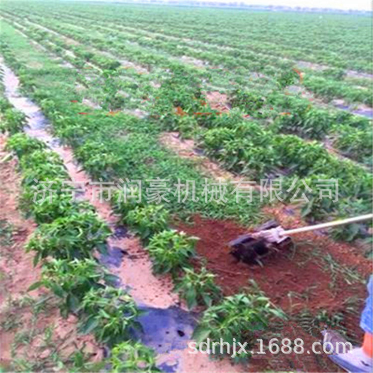 四冲程割草机 大马力旋耕机