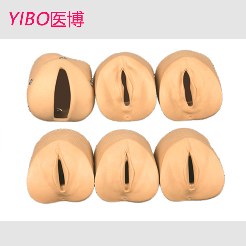 Bix-F9 	   Model of the Relationship between Prenatal Cervical Changes and the Birth Canal