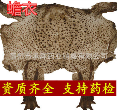 toad-cortex The whole toad coat large in Small Chinese herbal medicines Animal crude drugs Chan Yi