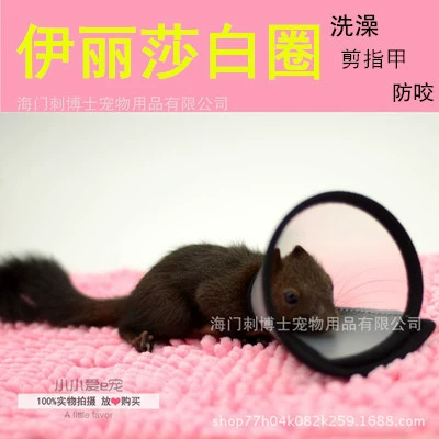 Белка Тоторо Элизабет кольцо резка ногтей Ванна травма против лизания рана против укуса артефакт