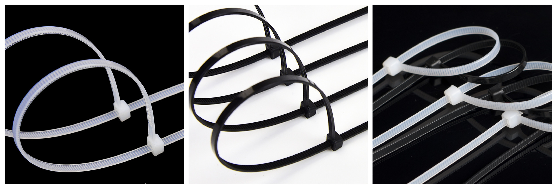 DSC_5599_副本_副本