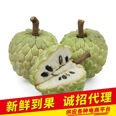 Taiwan pineapple Custard apple fruit fresh fruit Sweetsop milk Shakya Taste Shunfeng Air transport