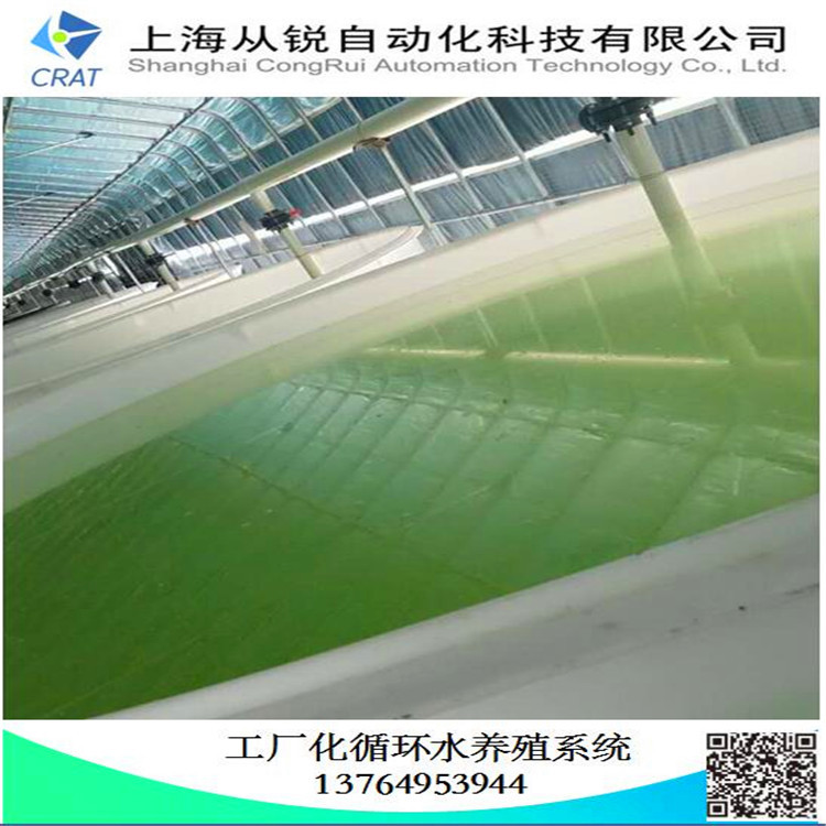 上海从锐工厂化水产养殖系统/ 工厂化水产养殖循环水育苗/设备