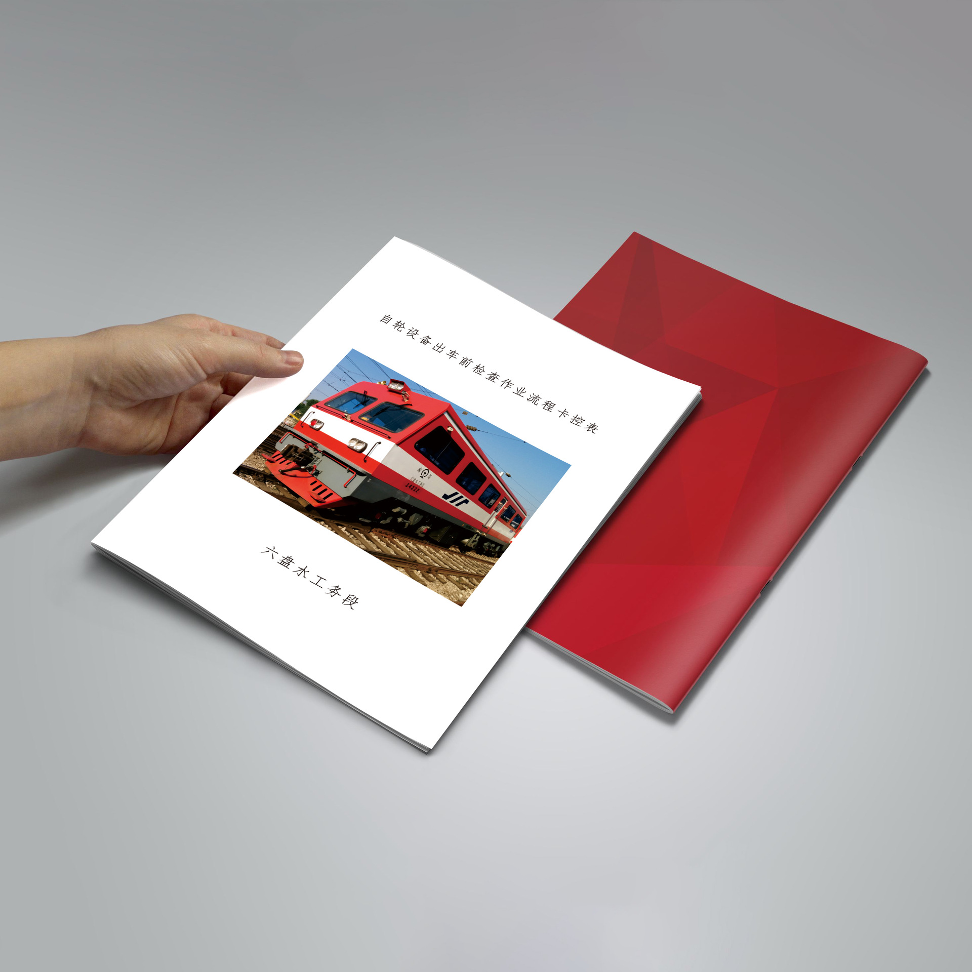 厂家直销 A4企业宣传图册 画册设计印刷 彩页 产品说明书定制LOGO|ms