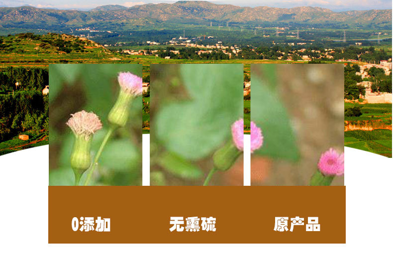 Yi Dian Hong Herb (Emilia sonchifolia) — Dried Food Herb, Leaf & Stem, 500g quality and texture