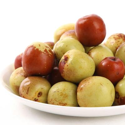 Dali jujube Fresh fruit Shaanxi specialty Dates Crispy Now pick 3 issued One piece On behalf of