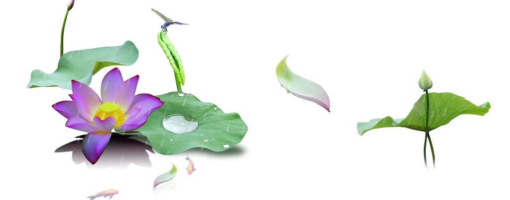 13458PIC5Xc_1024_看圖王