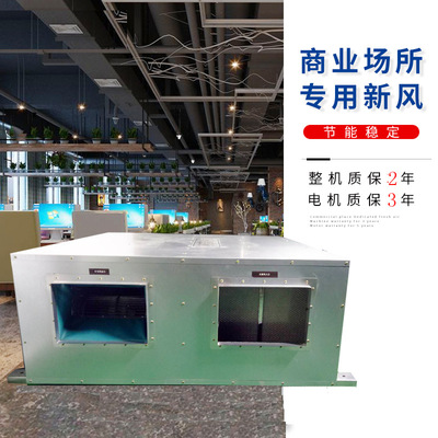 major customized heat exchange suspended ceiling Fresh air Ventilator commercial Fresh air ventilator Efficient filter New fan