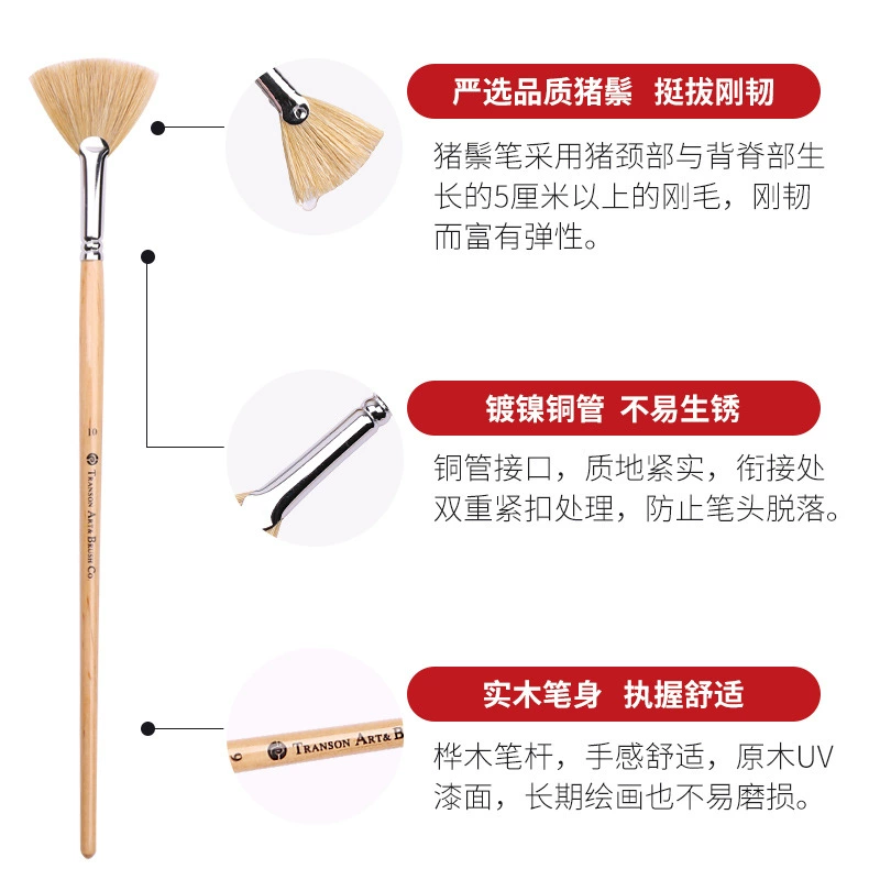 Fan Brush, Natural Boar Bristle, Wooden Handle, Sizes 1–10, 21 cm Length