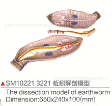 SM10221 3221������ģ��