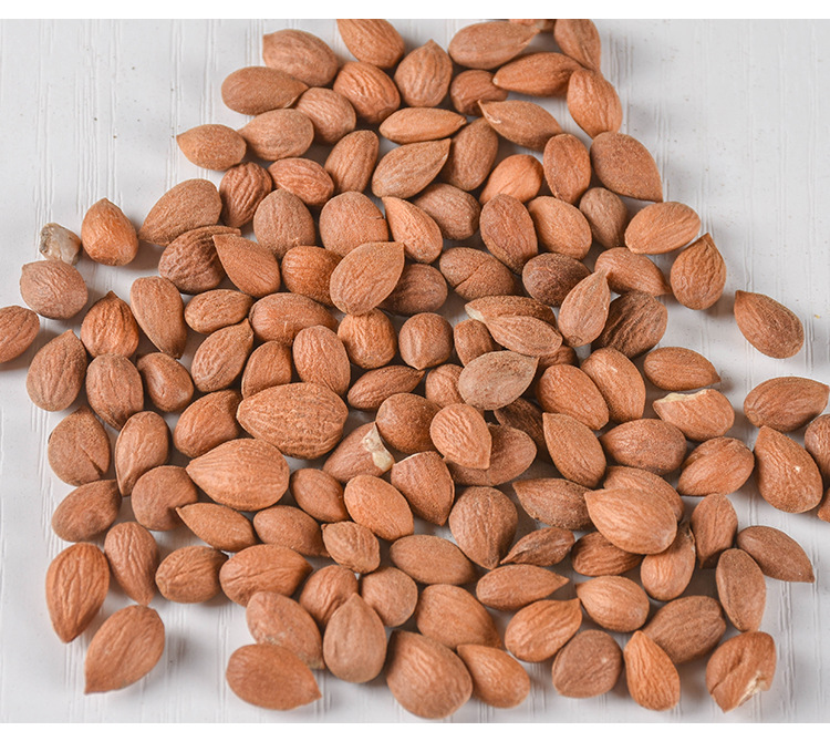Yu Li Ren (Prunus humilis Seed) — Dried Food Herb, Inner Mongolia Origin, 500g quality and texture